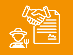 Highlighted image: Bollen gekocht, rechten niet (Blog Paul)